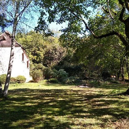 La Caverne Du Buisson *